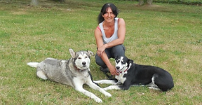 Ethologie Dog.png