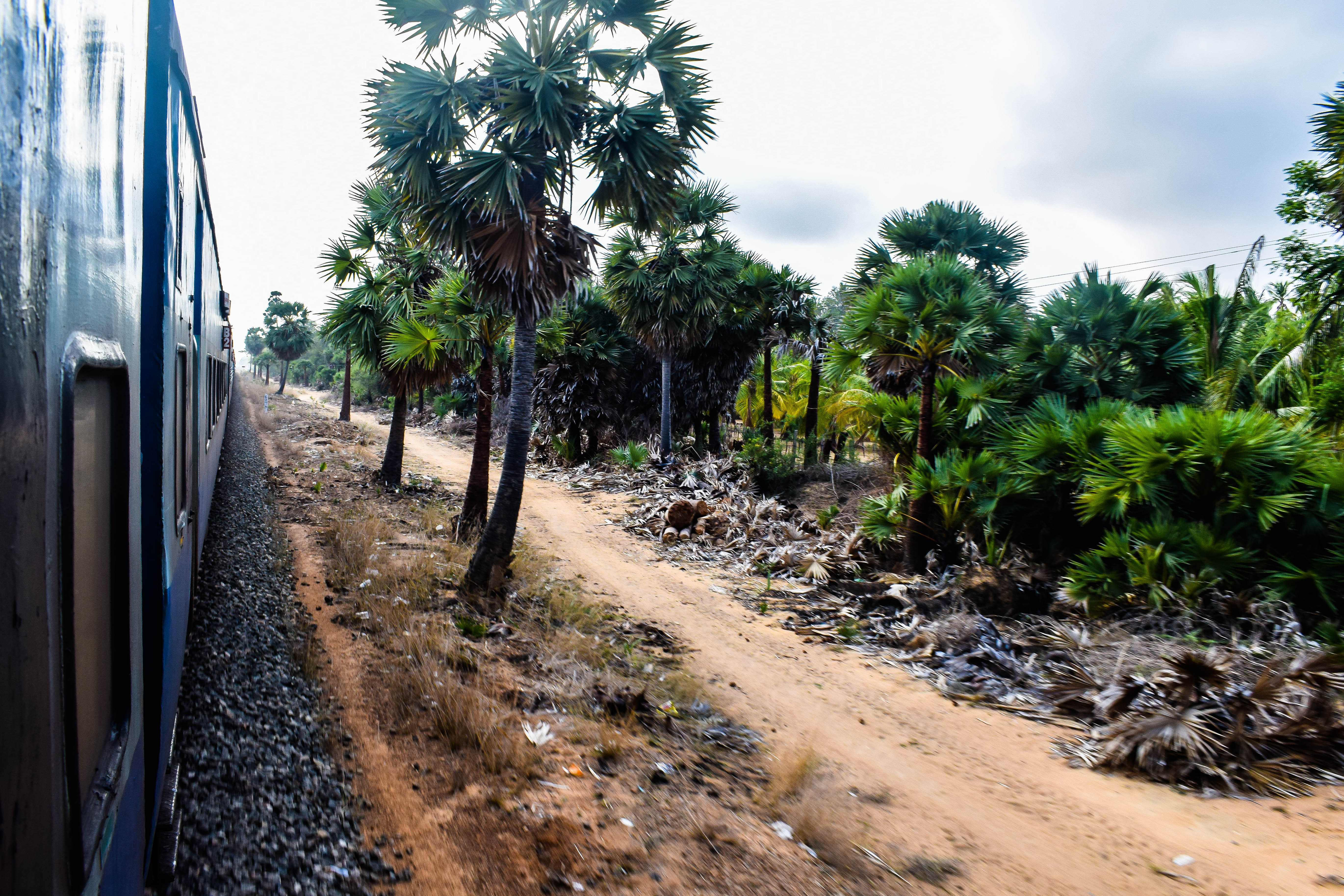 Tamil Nadu Travel Guide: Rameswaram, Dhanushkodi, Kanyakumari & Madurai on a Budget