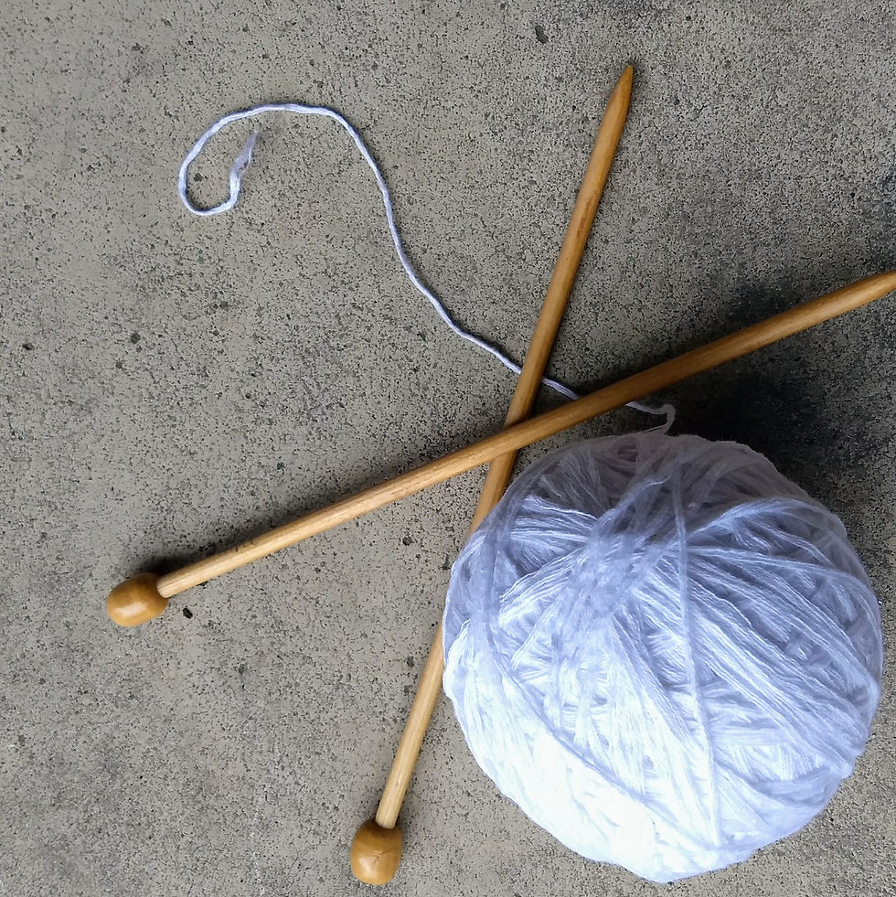 Beginner Knitting