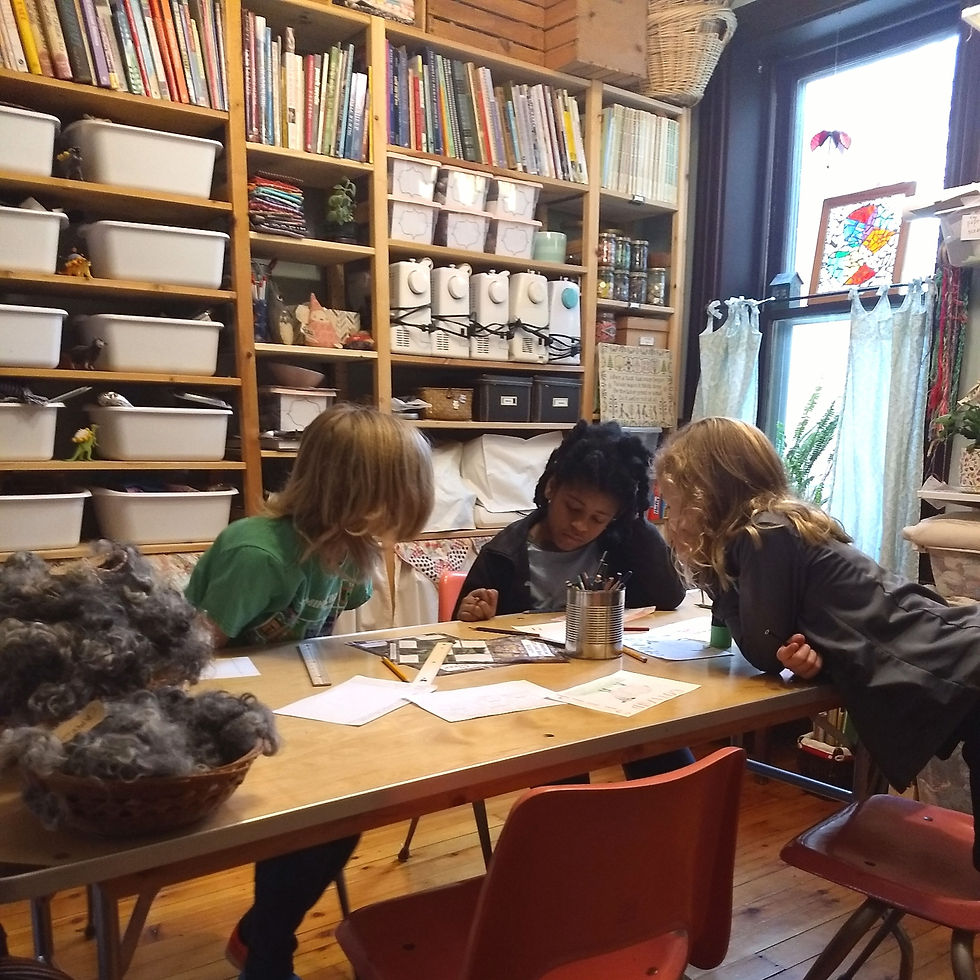 Exploring Natural Fibers