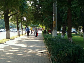 Romania/Israel Newsletter 2017