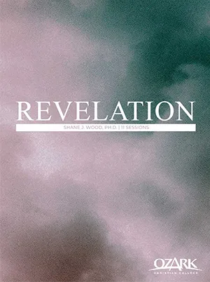 Revelation.webp