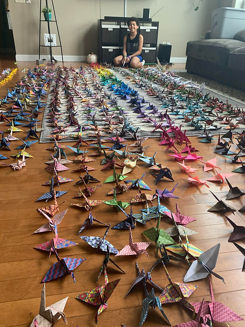 cranes.jpg