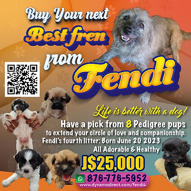 Fendi Flyer Gen4-01.jpg