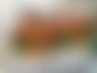 Wir bekommen Verstärkung 