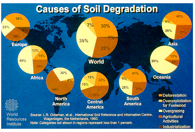 Cause of Soil Degradation