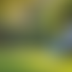 Cultivating Compassion While Preventing Burnout in Caregiving Roles