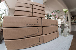 Nos Marias 2015-9.jpg