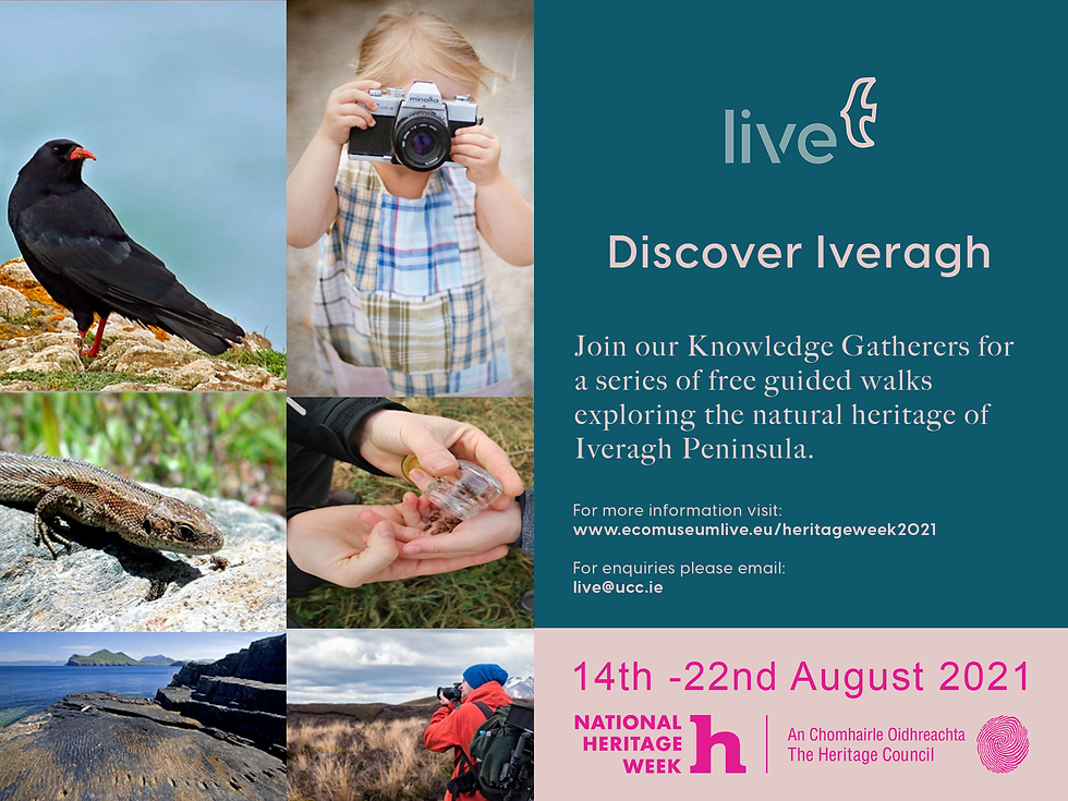collage of photos, a chough, lizard, small child taking photos, hands holding seeds, coastal rock, and a man taking photos