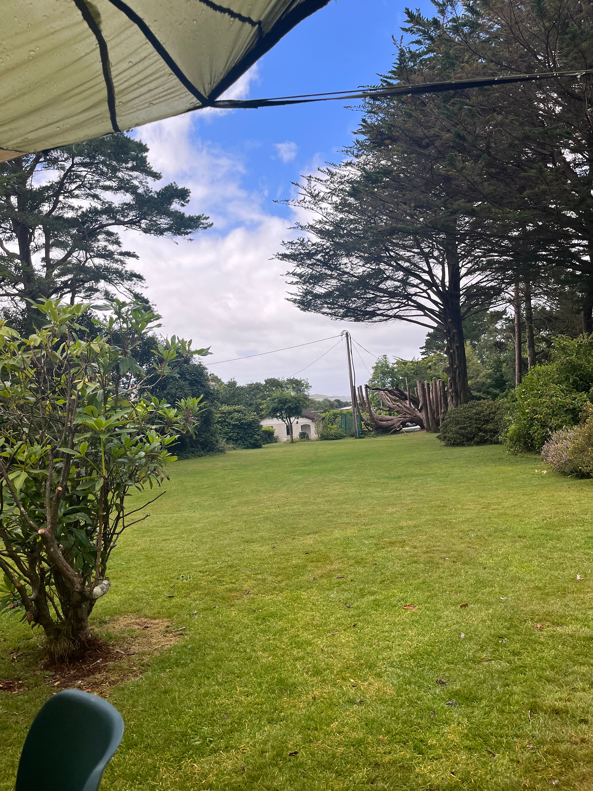 View across the lawns of a house with trees on the side