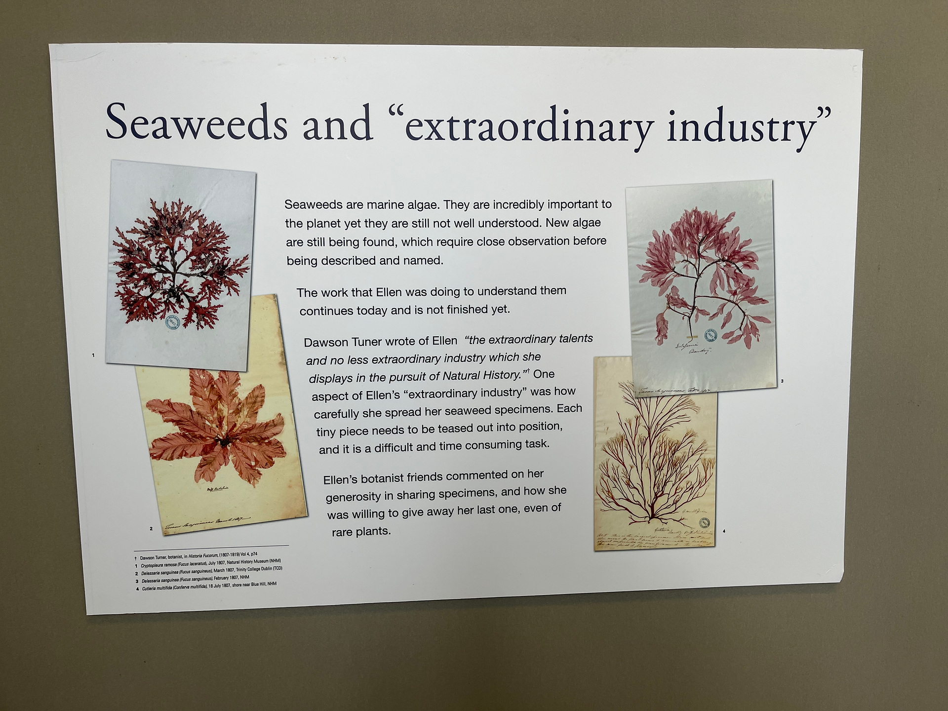 printed board with text about the life and work of Ellen