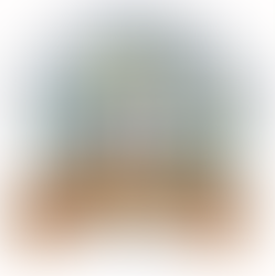 logo for Cathair Saidhbhín le Gaeilge