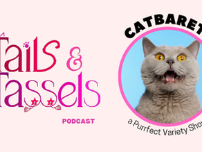 🎙️ Episode 14: How Community, Cats, and Creativity Collide at Catbaret