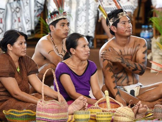 Sínodo 2019: Em comunhão com os povos nativos, plasmar uma Igreja com rosto amazônico