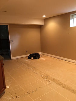 Basement Before