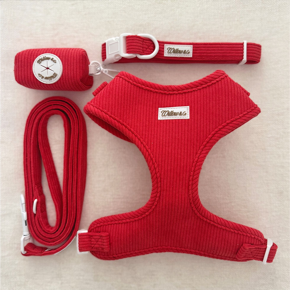 Miniature : Collier - Marco