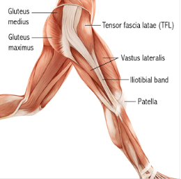 IT Band syndrome: how to [effectively] get rid of your knee pain?