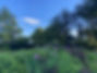 IMG_3399.jpeg