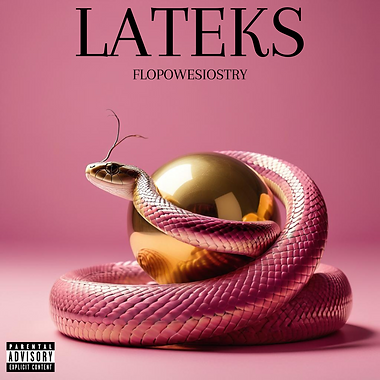 LATEKS.png