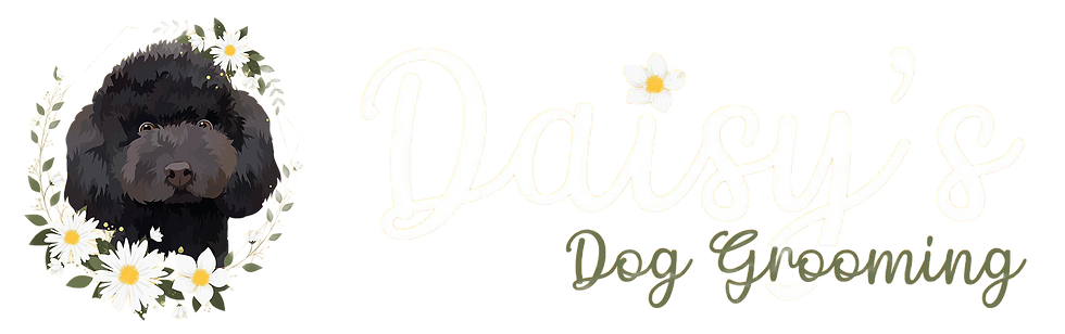 logo transparent.png