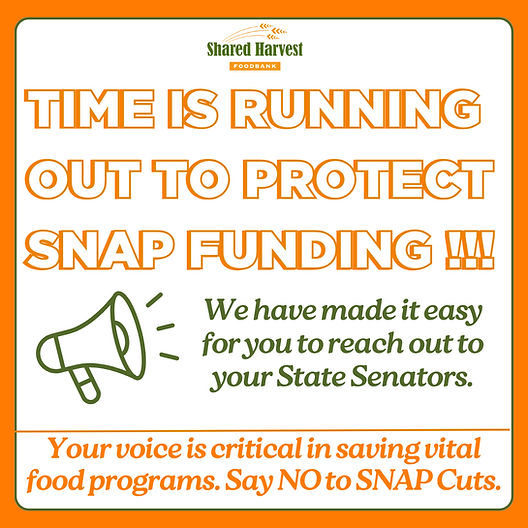 SNAP Time is Running Out Post_edited.jpg