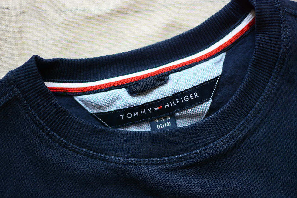 縮圖：Tommy Hilfiger Embroidered Logo Boy's Sweatshirt