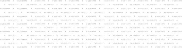 WILDHEARTS-2.png