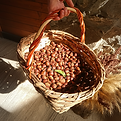 Local chestnuts