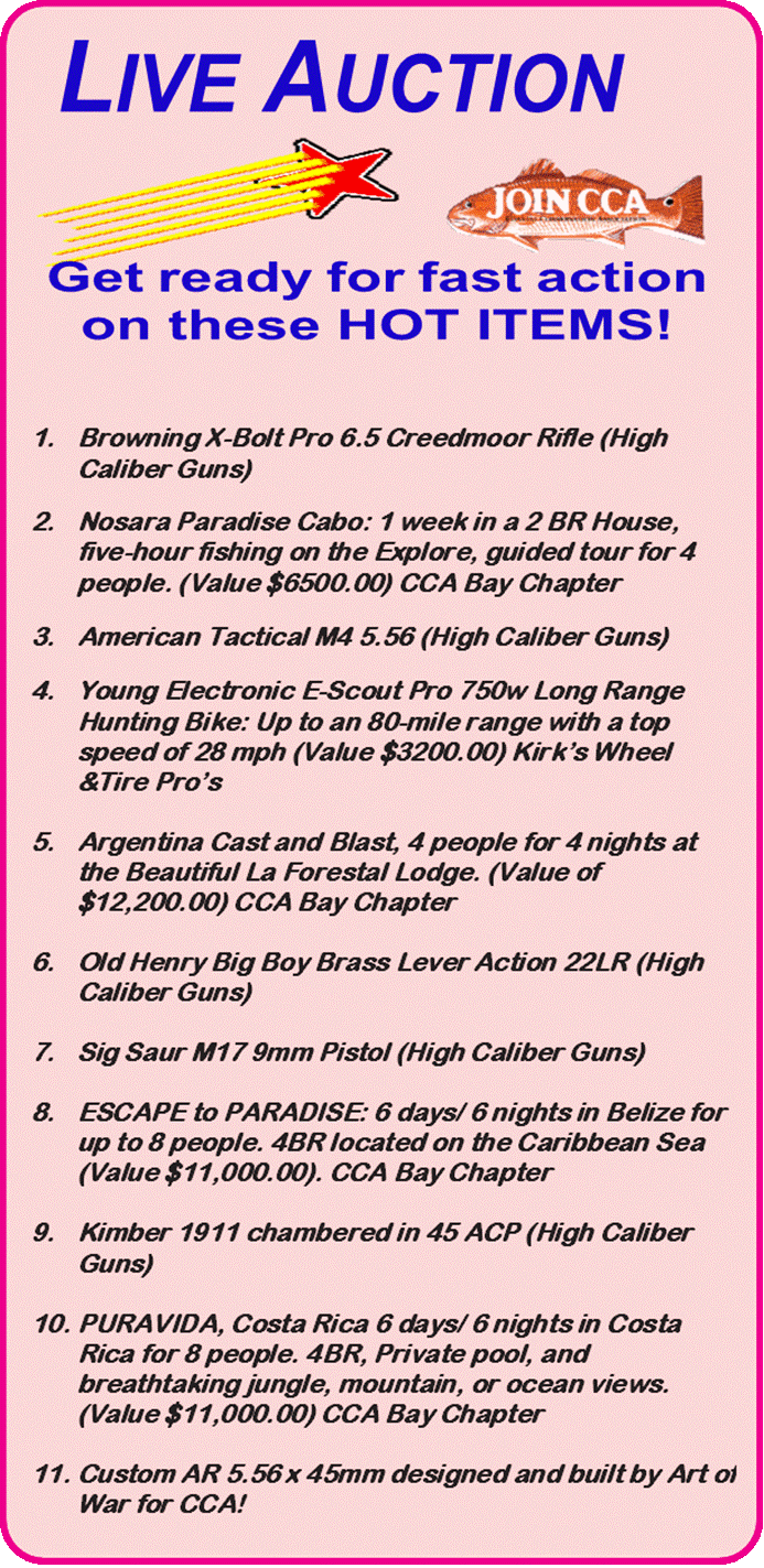 Live Auction 2023.gif