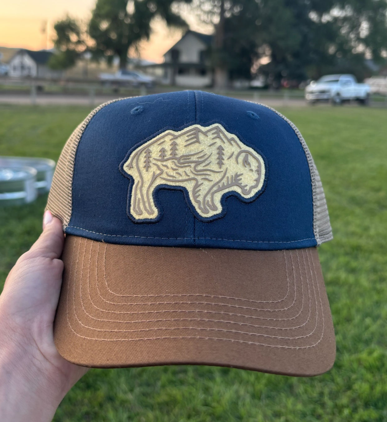 Bison Mountain Snapback
