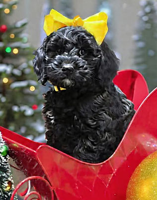 2b6a773b0a56b06ceb52dee60fe04f30_edited.