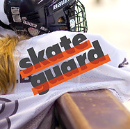 SkateGuard.jpg