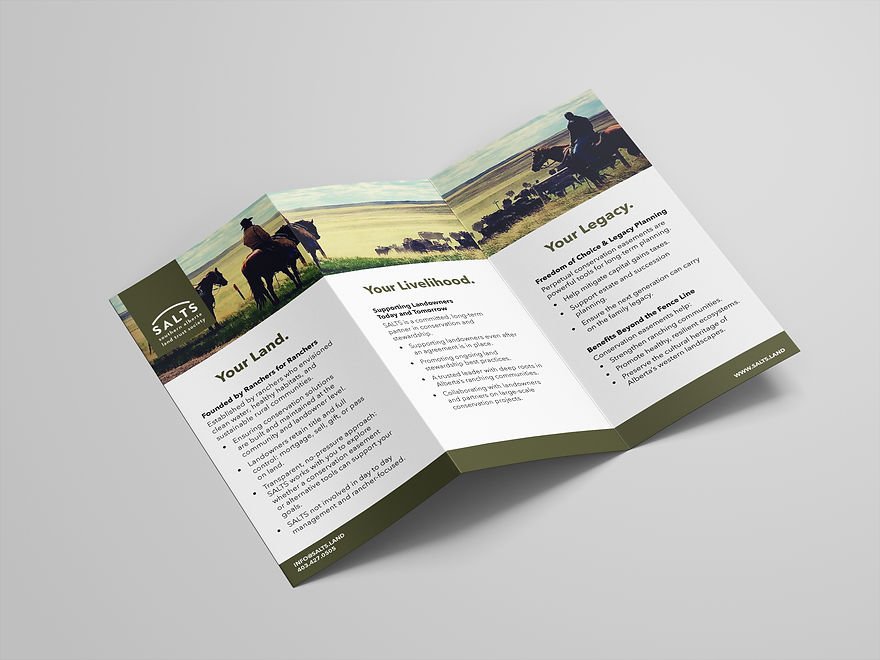 SALTS brochure