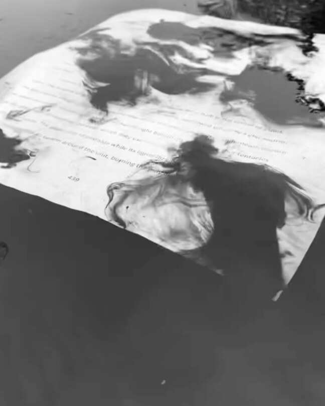 download (1).gif