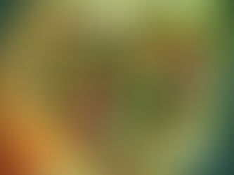 Diete a base vegetale