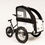 Miniatura: Family Bike Mini