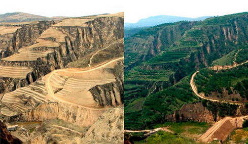Landrestoration stitched.png