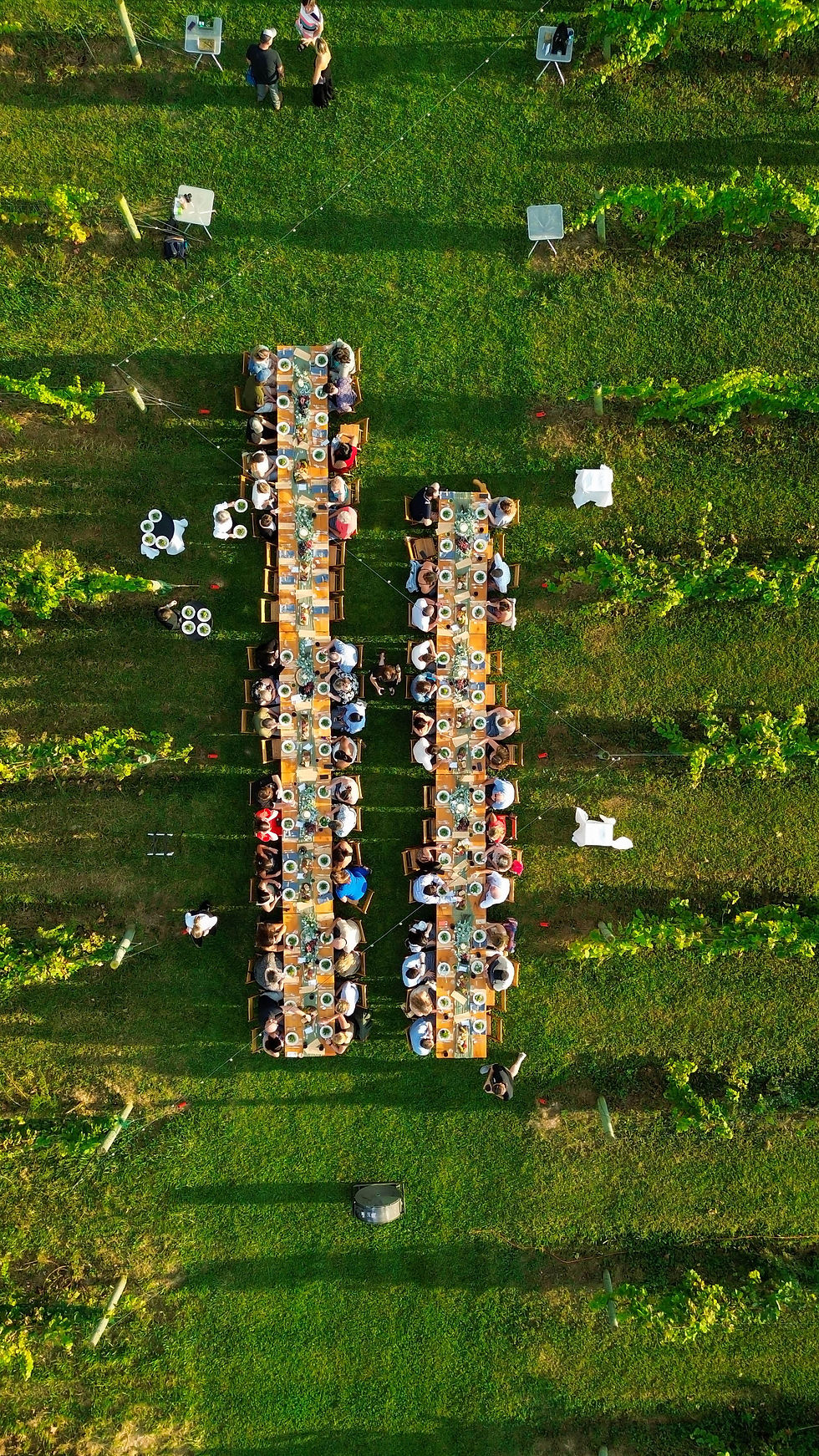 Winchester Fields: Fall Harvest Dinner