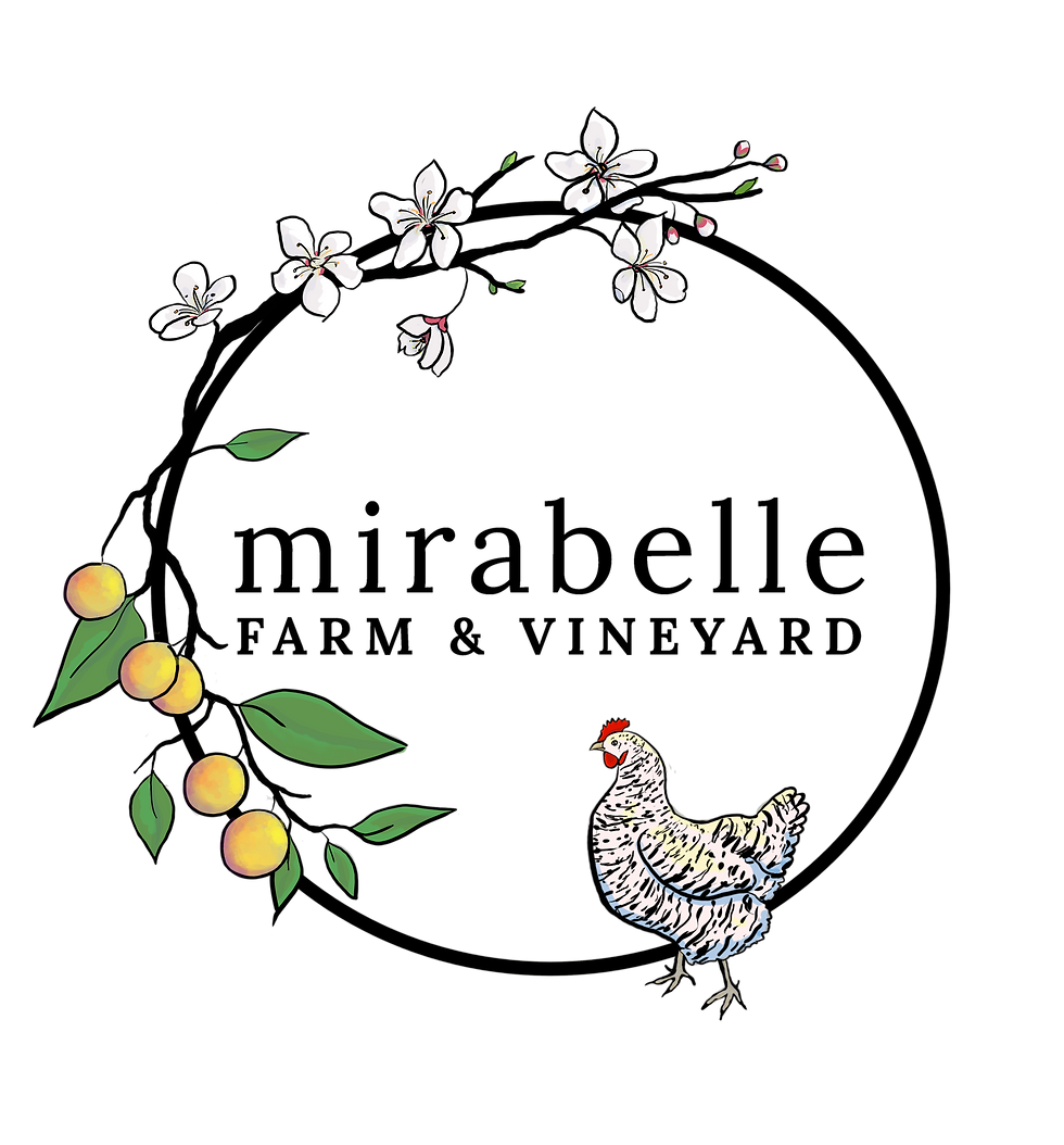 Winery Ashville Ohio logo with flowers, fruit, and a hen