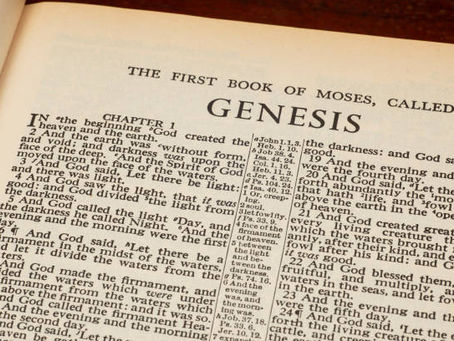 Genesis 1 Reflection