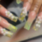 Acrylic Ombre/Encapsulations image