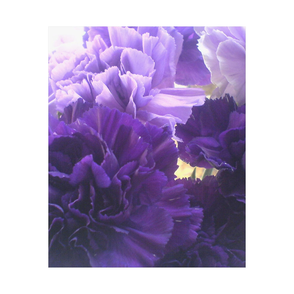 Thumbnail: Earth Angels Collection History 01 Matte Vertical Posters
