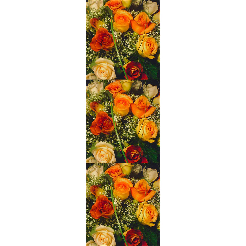 Thumbnail: Earth Angels Collection History 04 Fabric (Combed Cotton Prima)