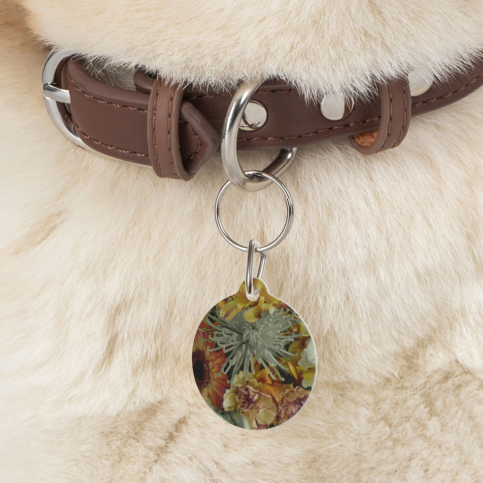 Thumbnail: Earth Angels Collection History 03 Pet Tag