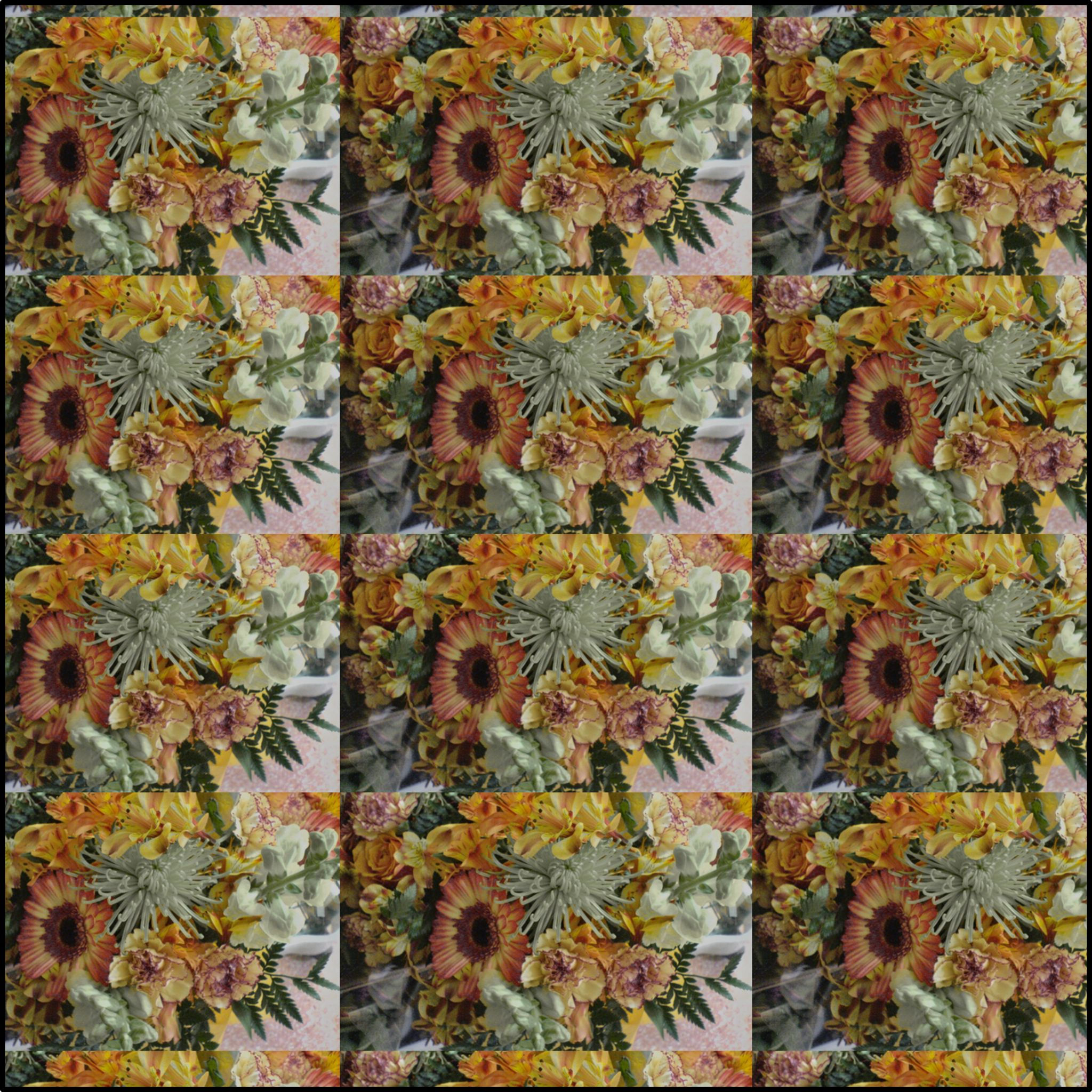 Earth Angels Collection History 03 Fabric (Combed Cotton Prima)