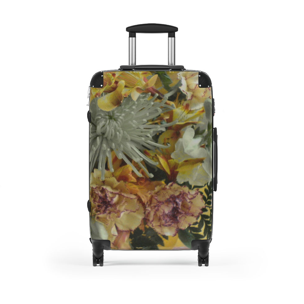 Thumbnail: Earth Angels Collection History 03 Suitcases