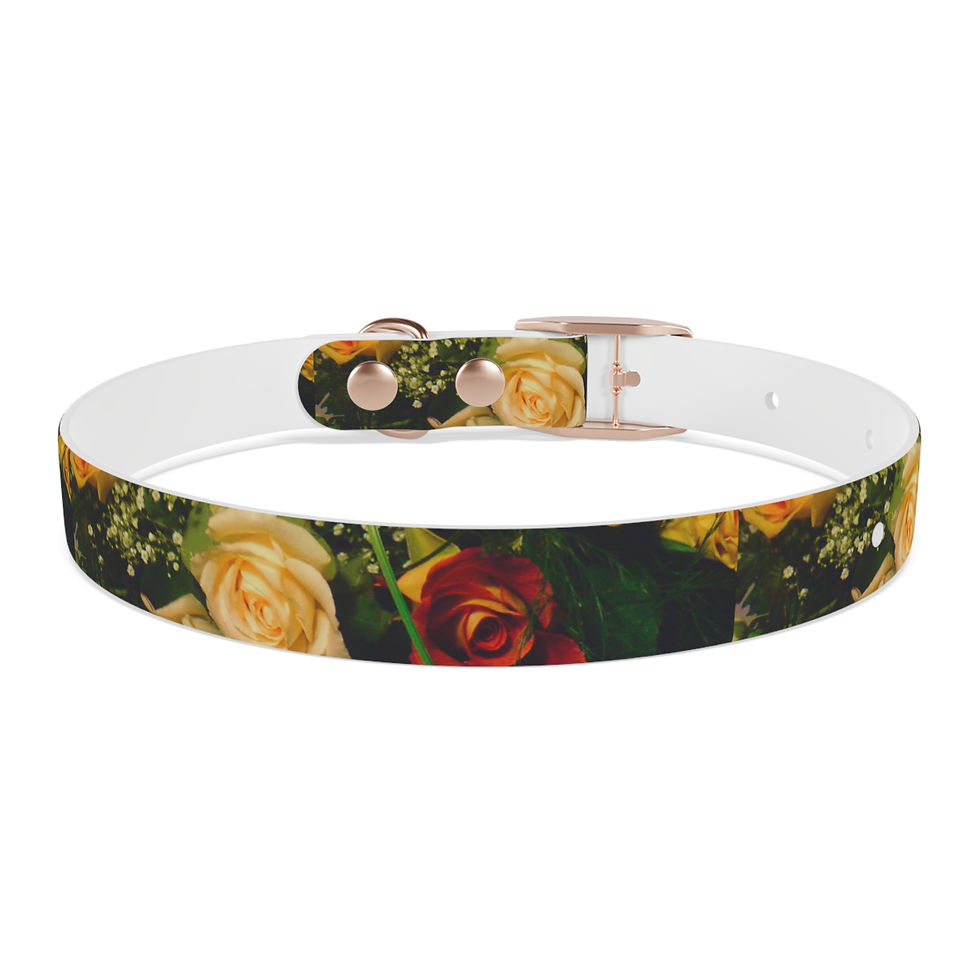 Thumbnail: Earth Angels Collection History 04 Dog Collar