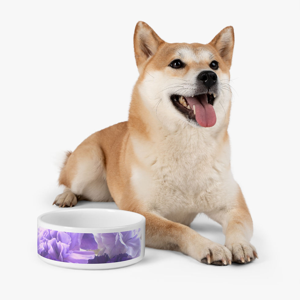 Thumbnail: Earth Angels Collection History 01 Pet Bowl