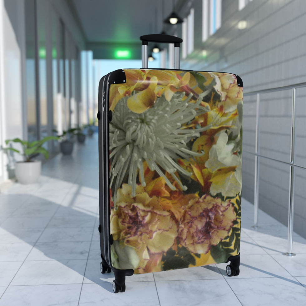 Thumbnail: Earth Angels Collection History 03 Suitcases