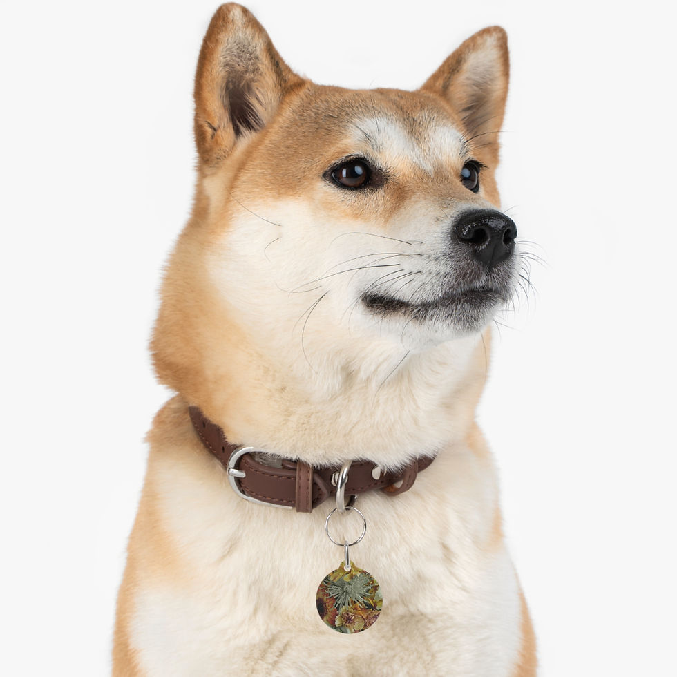 Thumbnail: Earth Angels Collection History 03 Pet Tag